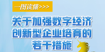 一图读懂 | 关于加强数字经济创新型企业培育的若干措施